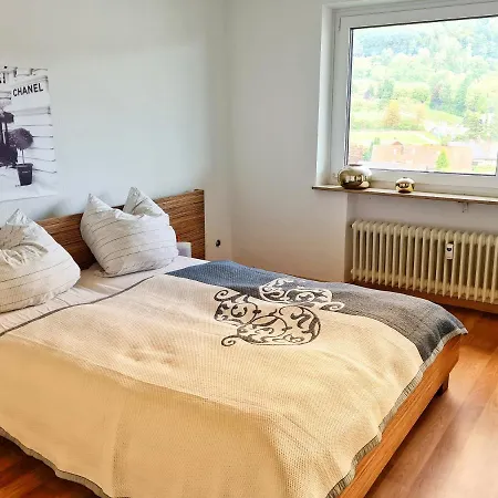 Seeliebe Bodensee Mit Wunderschöner Seesicht&terrasse Bodman-Ludwigshafen