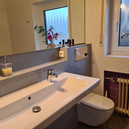 Seeliebe Bodensee Mit Wunderschoener Seesicht & Terrasse * Bodman-Ludwigshafen