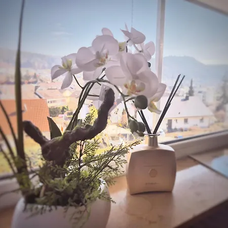 Seeliebe Bodensee Mit Wunderschoener Seesicht & Terrasse * ボートマン・ルートヴィヒスハーフェン